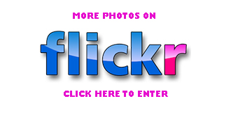 Flickr Photos